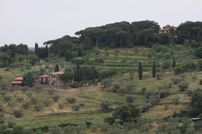 Toscane 09 - 179 - Paysages